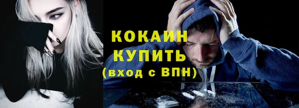 стаф Сафоново